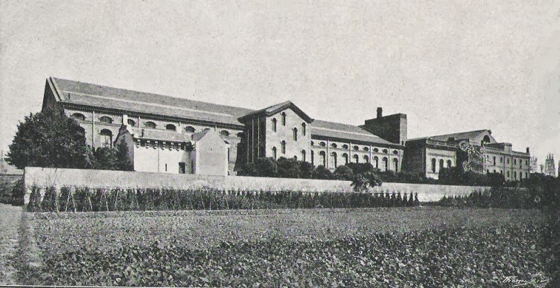 ‘Nasus’ o una mañana de ficción en vida – Camino a Sitges. Toma&nbsp;05