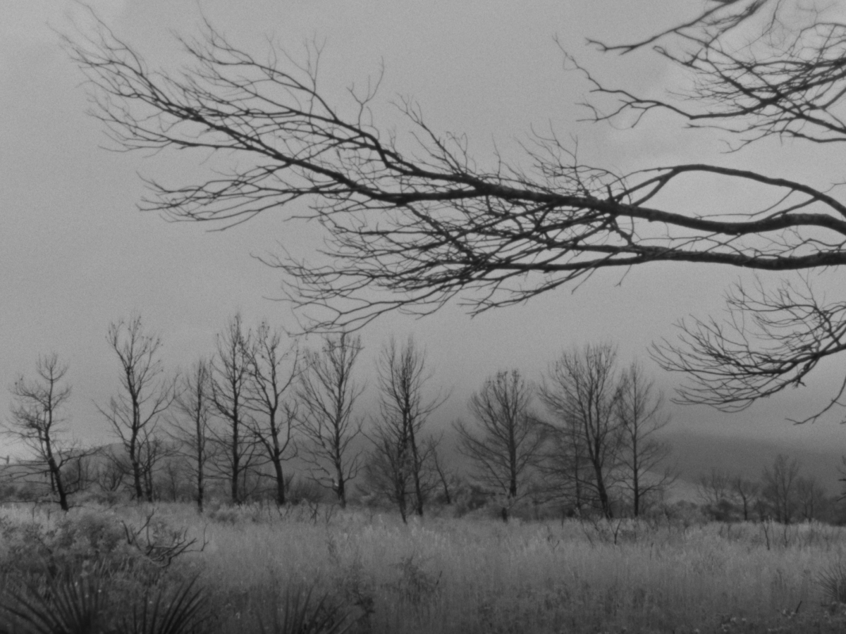 Hello. I’ve directed my 12th music&nbsp;video.